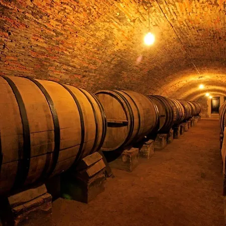 El Lagar De La Navazuela *