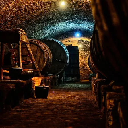 El Lagar De La Navazuela Κατάλυμα σε φάρμα *