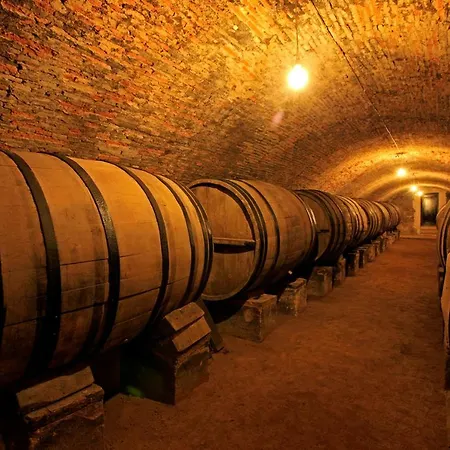 El Lagar De La Navazuela