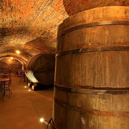 El Lagar De La Navazuela Lantgård La Rasa