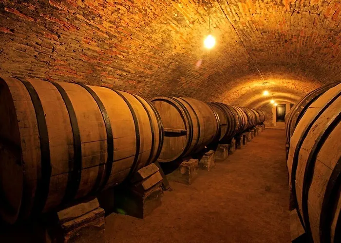 El Lagar De La Navazuela *