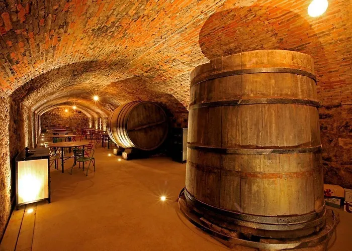 El Lagar De La Navazuela *