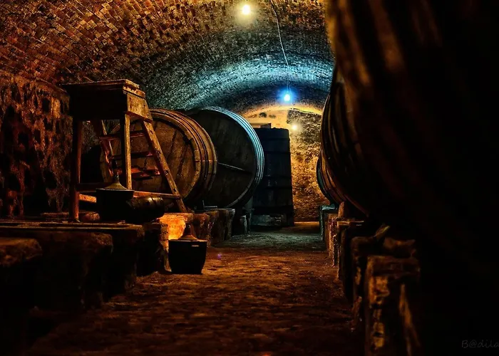 El Lagar De La Navazuela Κατάλυμα σε φάρμα *