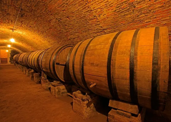 Alojamento de Turismo Rural El Lagar De La Navazuela La Rasa