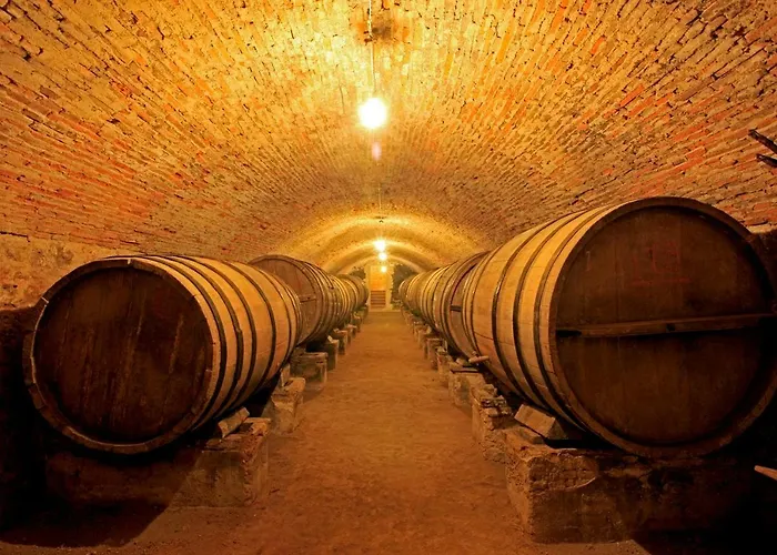 Alojamento de Turismo Rural El Lagar De La Navazuela