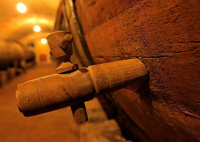 Alojamento de Turismo Rural El Lagar De La Navazuela